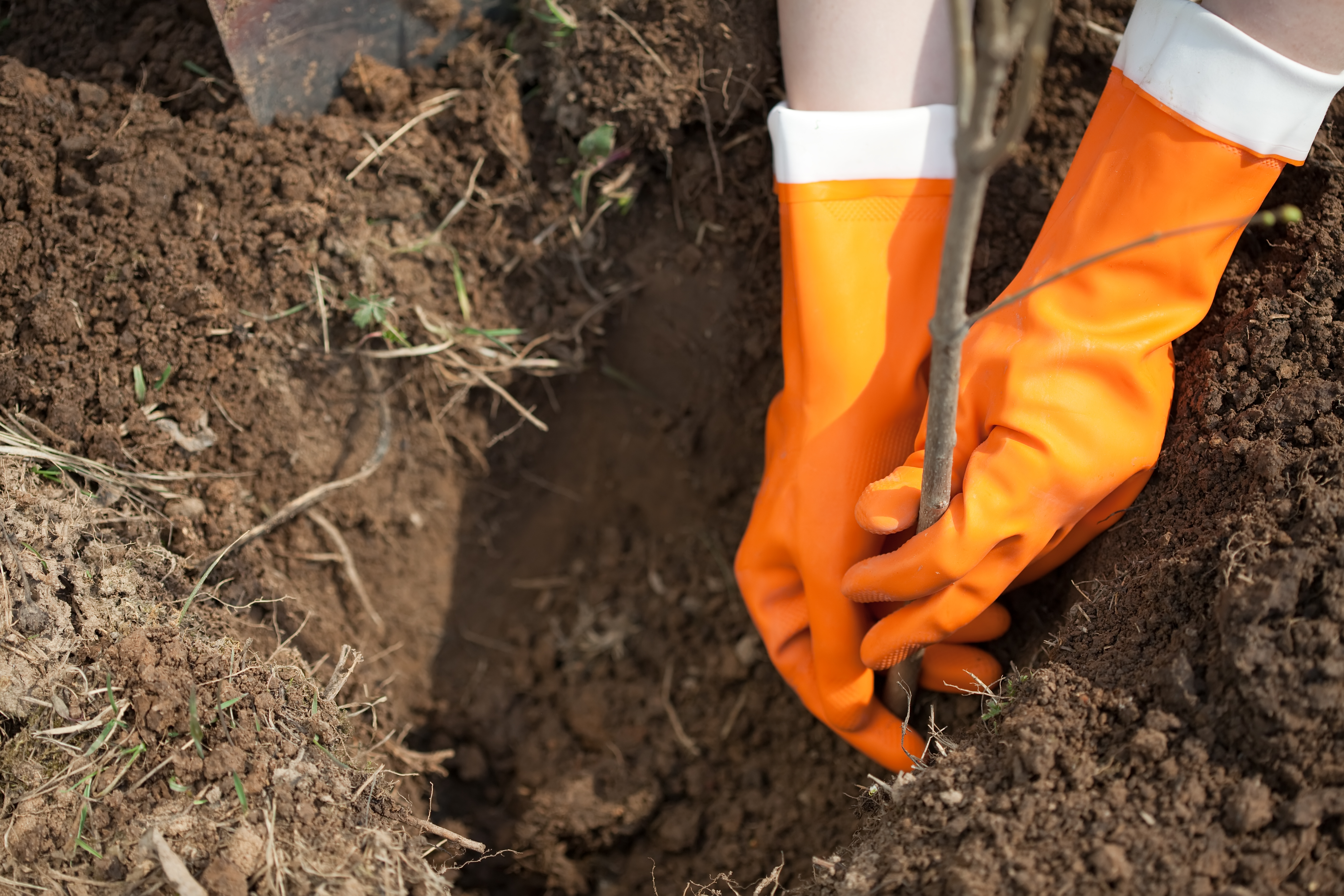 Soil Investigation